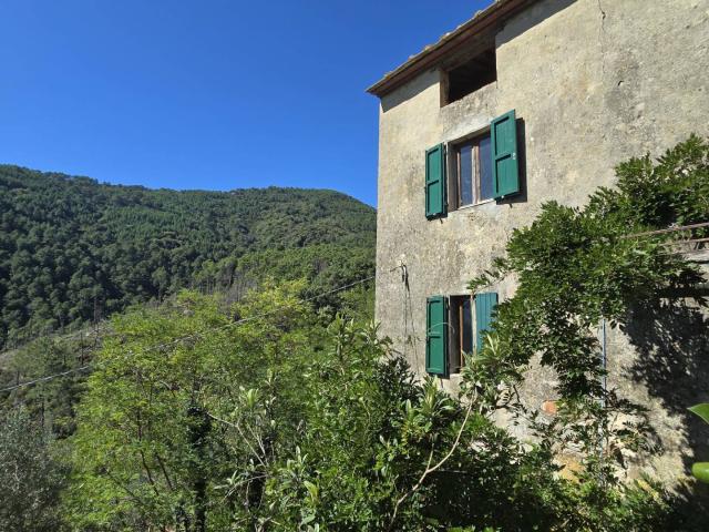 Rustico in vendita a San Donato, Calci