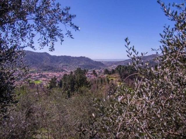 Rustico in vendita a Pieve, Camaiore