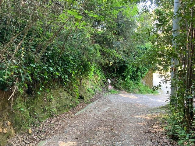 Rustico in vendita a Camaiore, Toscana
