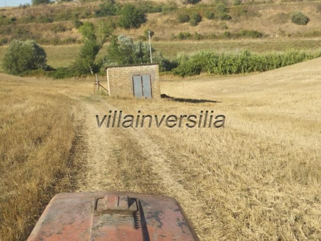 Rustico in vendita a Canino, Lazio