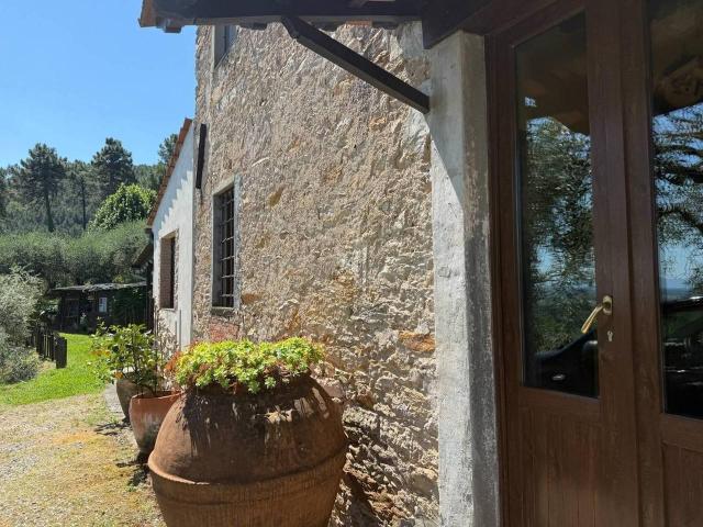 Rustico in vendita a Capannori, Toscana