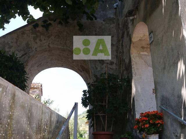 Rustico in vendita a Capannori, Toscana