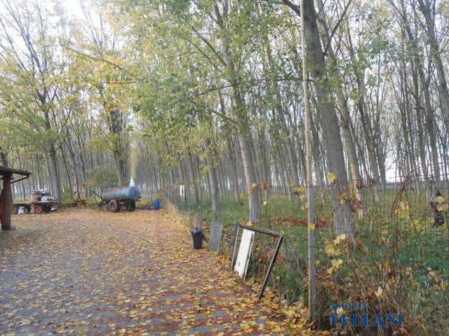 Rustico in vendita a Unione delle Terre d'Argine, Carpi