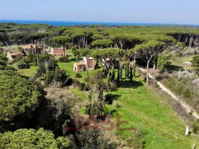Terreno in vendita a Bolgheri, Toscana