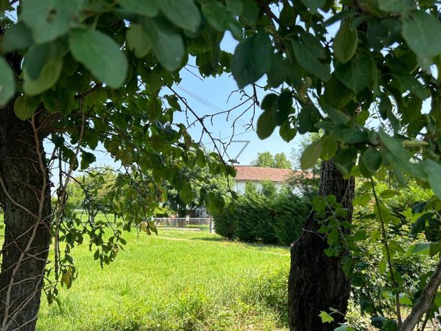 Rustico in vendita a Loreggia, Veneto