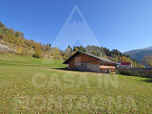 Rustico in vendita a Comunità territoriale della Val di Fiemme, Molina Di Fiemme