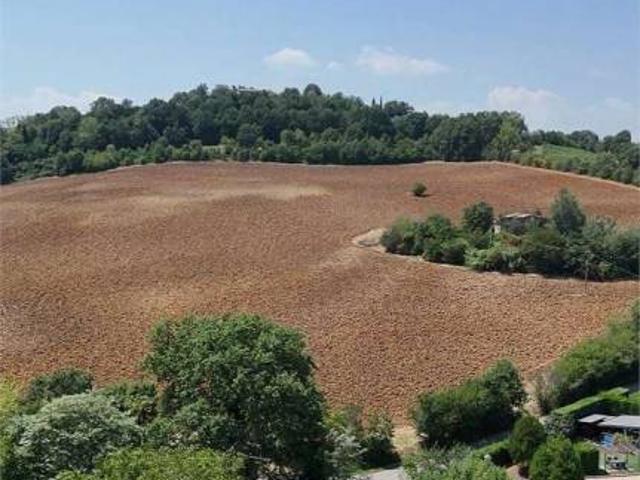 Rustico in vendita a Unione di comuni Terre di Castelli, Castelvetro Di Modena