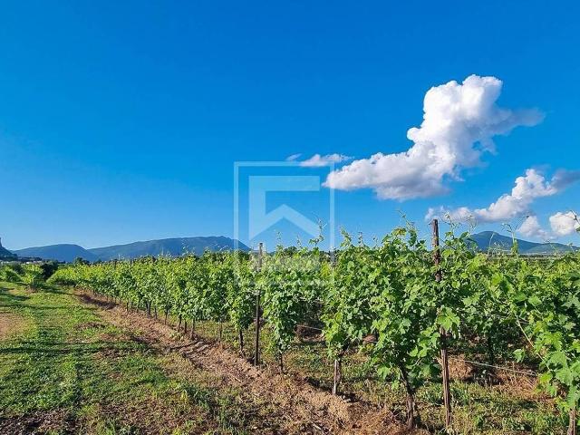Rustico in vendita a Cavaion Veronese, Veneto