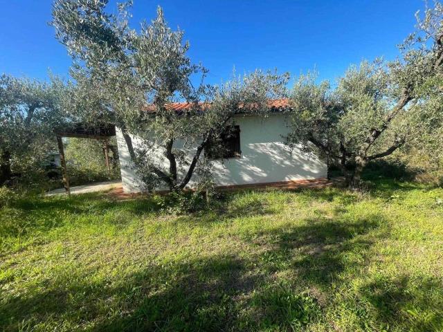 Rustico in vendita a Cecina, Toscana