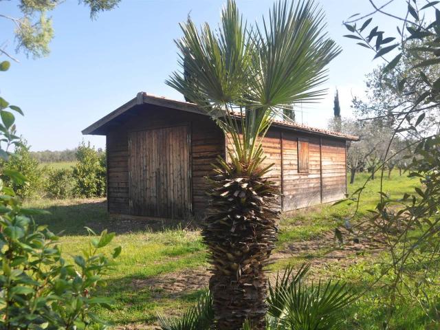 Rustico in vendita a Collemezzano, Cecina