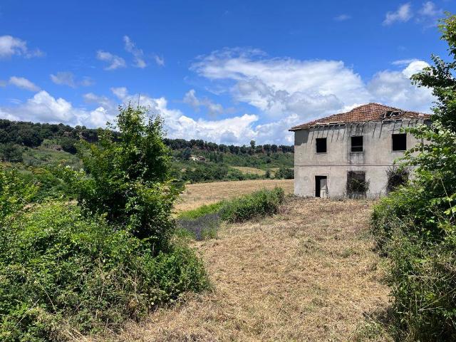 Rustico in vendita a Poggio dell'Asino, Roma Capitale