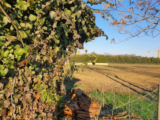 Rustico in vendita a Unione dei comuni Valle del Savio, Cesenà