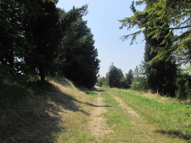 Rustico in vendita a Unione dei comuni Valle del Savio, Cesenà
