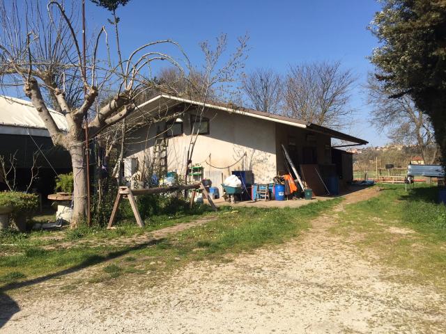 Rustico in vendita a Marche, Ancona