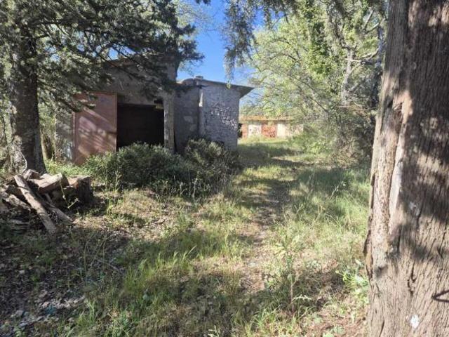 Terreno in vendita a Cinigiano, Toscana