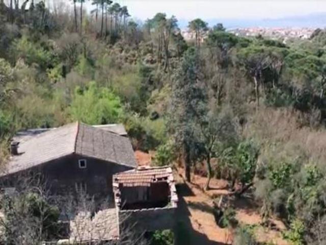 Terreno in vendita a Cogorno, Liguria