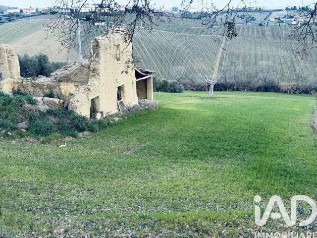 Rustico in vendita a Unione dei Comuni della Val Vibrata, Controguerra