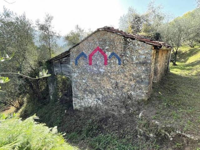 Terreno in vendita a Unione dei comuni Media Valle del Serchio, Borgo A Mozzano