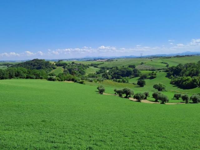 Rustico in vendita a Carignano, Marche
