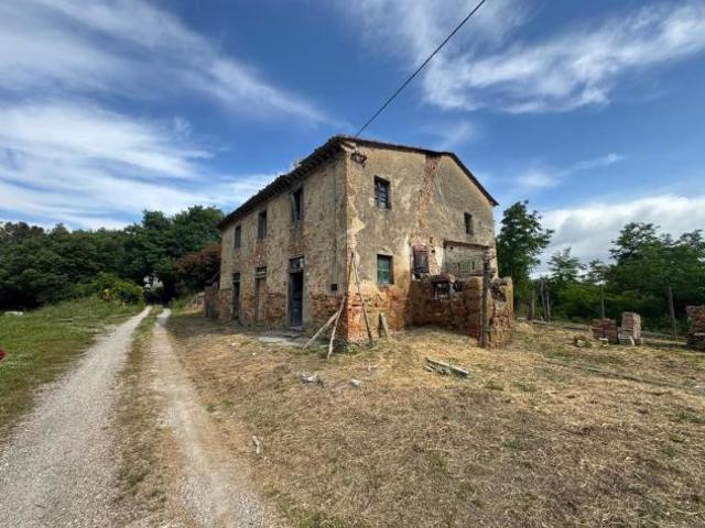 Terreno in vendita a Fauglia, Toscana