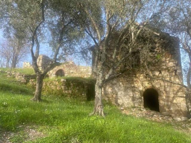 Rustico in vendita a Media Val Bisagno, Serra Riccò