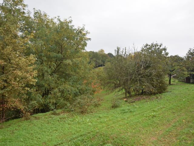 Rustico in vendita a Giavera Del Montello, Veneto