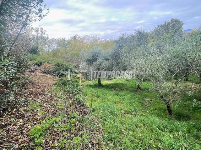 Rustico in vendita a Piemonte, Biella
