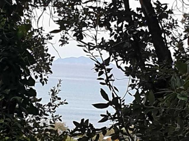 Terreno in vendita a Livorno, Toscana