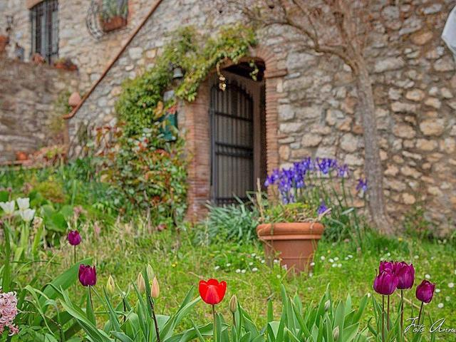 Rustico in vendita a Formentale, Bagni Di Lucca Ponte