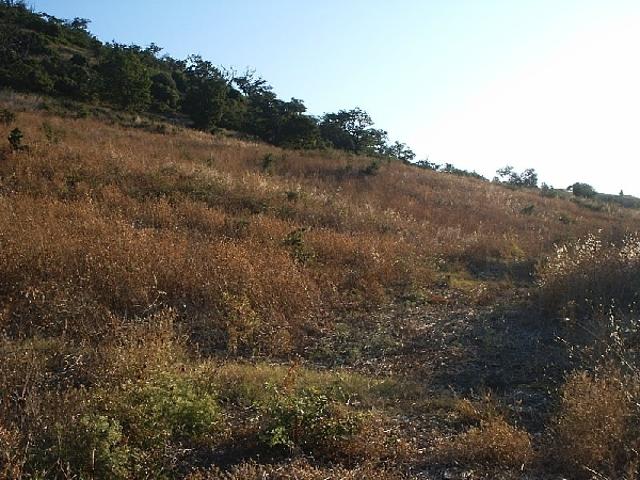 Rustico in vendita a Lupara, Molise