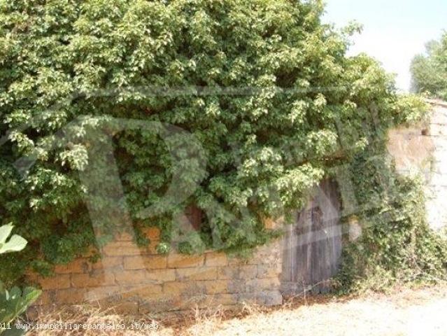 Rustico in vendita a Marsala, Sicilia
