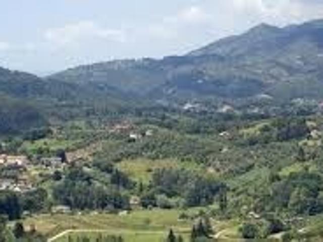 Rustico in vendita a Massarosa, Toscana