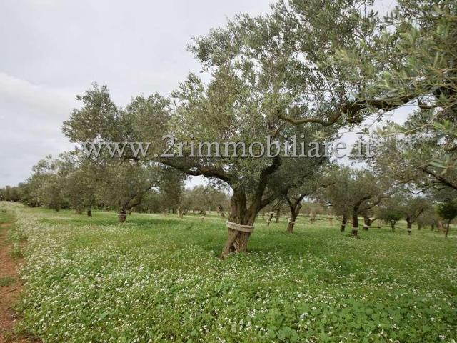 Terreno in vendita a Contrada Santa Maria, Mazara Del Vallo