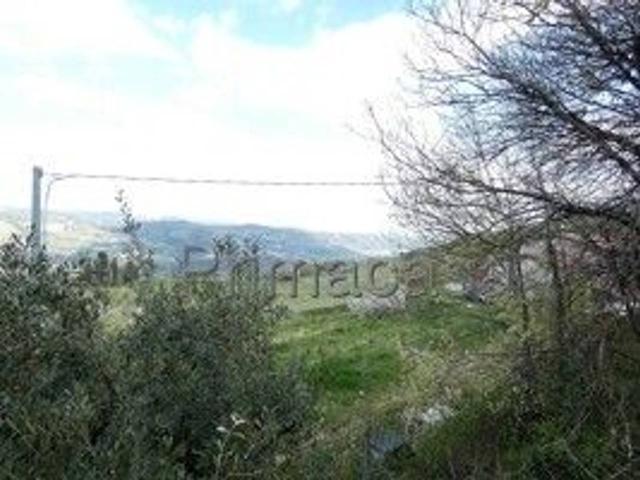 Rustico in vendita a Castagnè, Mezzane di Sotto