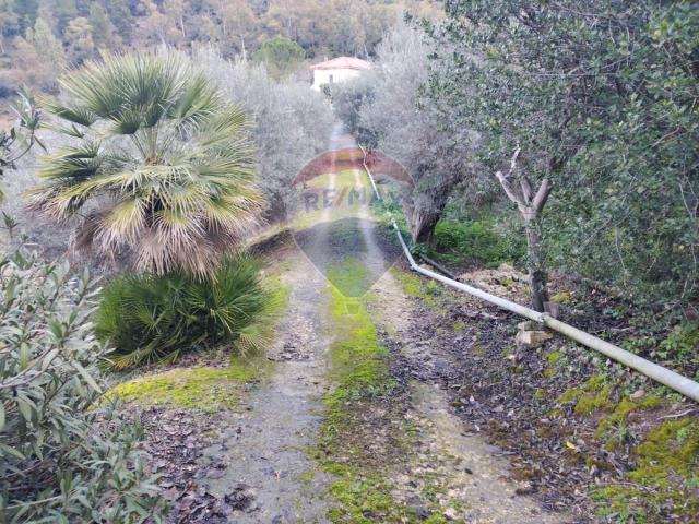 Rustico in vendita a Grammichele, Sicilia