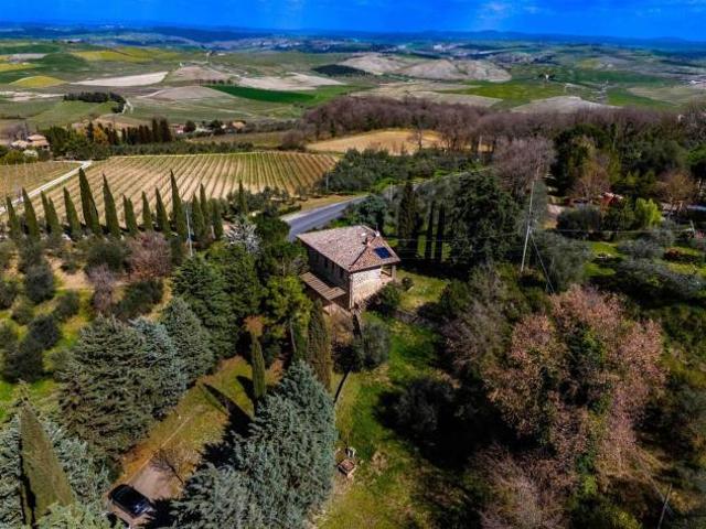 Terreno in vendita a Montalcino, Toscana