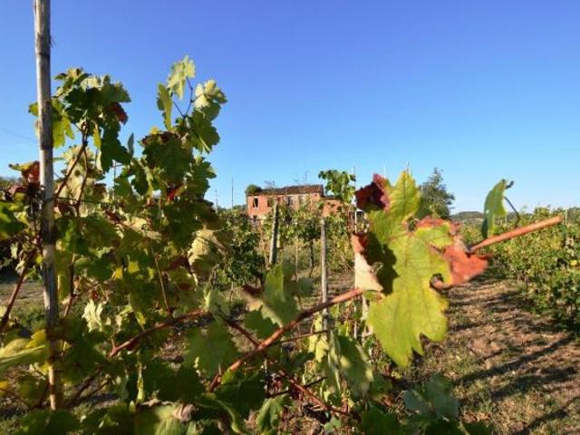 Terreno in vendita a Montecarlo, Lucca