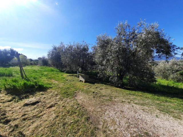 Rustico in vendita a Santa Margherita, Capannori