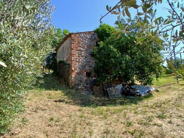 Terreno in vendita a Montecastrilli, Umbria