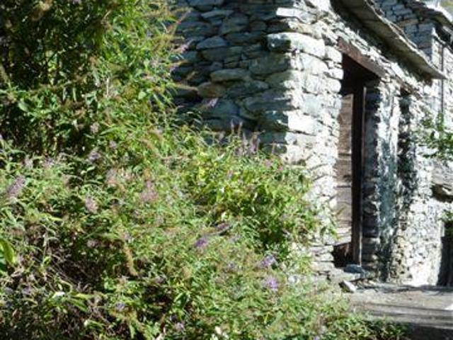 Rustico in vendita a Piemonte, Verbano-cusio-ossola