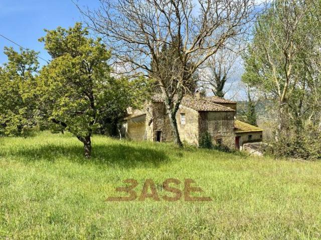 Terreno in vendita a Montescudaio, Toscana