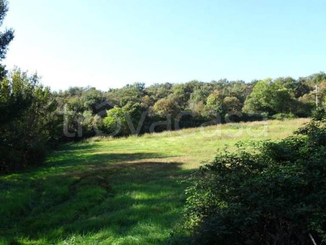 Rustico in vendita a Monteviale, Veneto