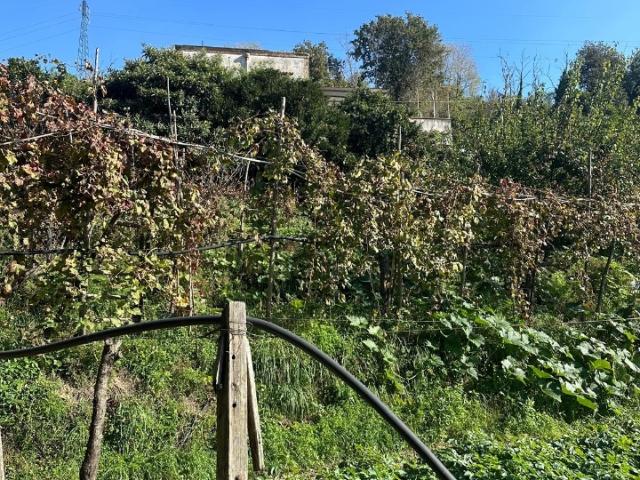 Rustico in vendita a Municipalità 10, Campania