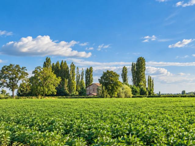 Terreno in vendita a Novellara, Reggio nell'Emilia