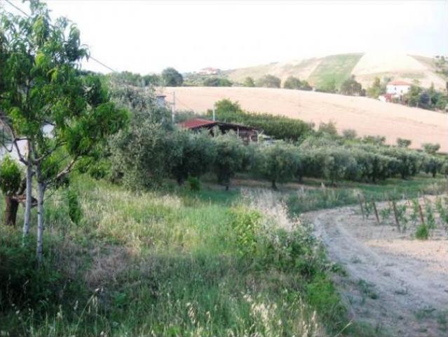 Terreno in vendita a Marche, Ascoli Piceno
