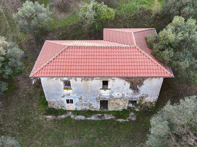 Rustico in vendita a Ogliastro Cilento, Campania