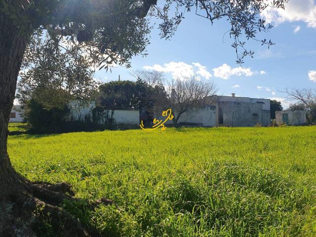 Rustico in vendita a Puglia, Brindisi