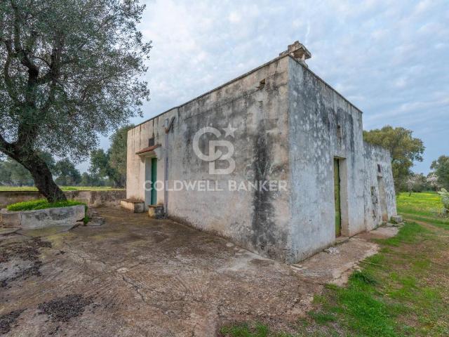 Rustico in vendita a Puglia, Brindisi