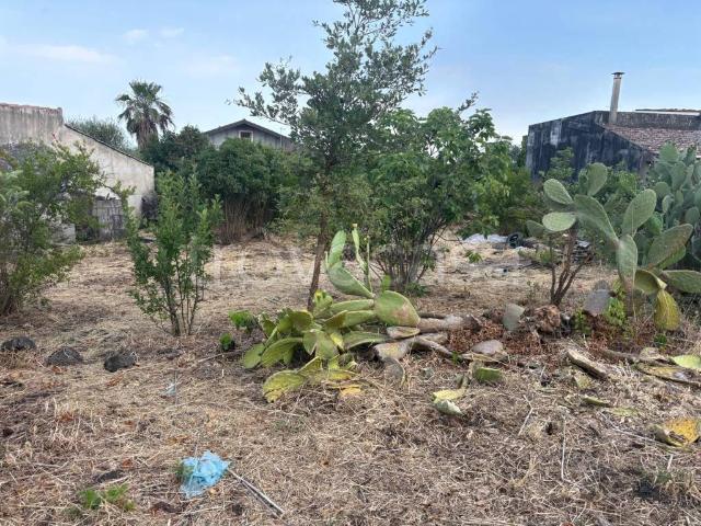 Rustico in vendita a Pedara, Sicilia