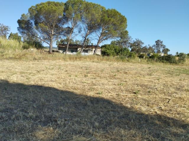 Rustico in vendita a Perfugas, Sardigna/Sardegna